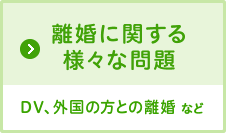 離婚に関する様々な問題　DV、外国の方との離婚など